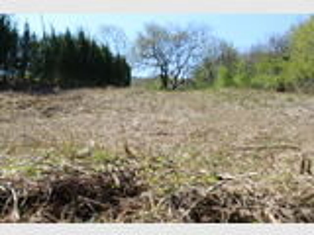 Vente Terrain TERRAIN avec PERMIS de CONSTRUIRE -Charmes-sur-Rhône 07800 Charmes-sur-rhône