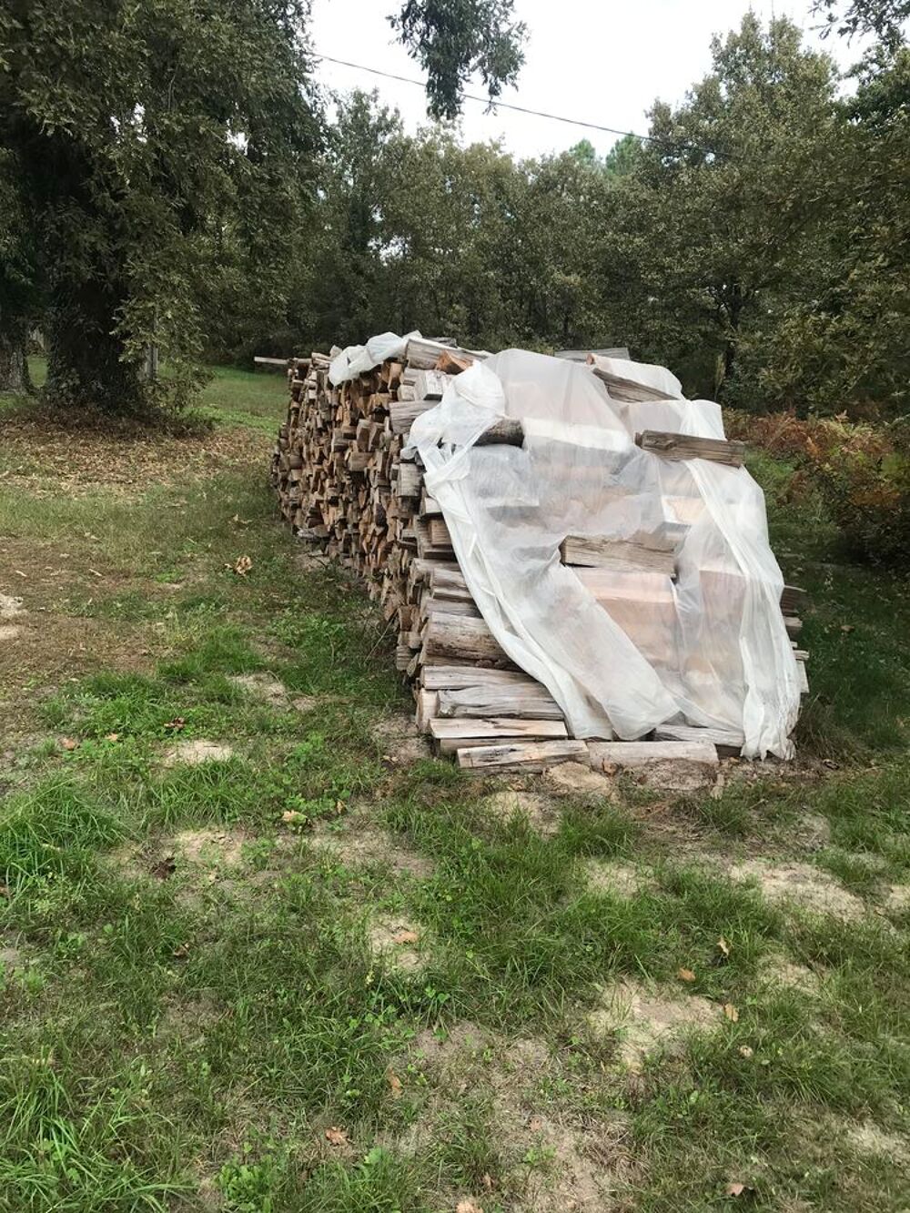 Bois de pin sec Jardin