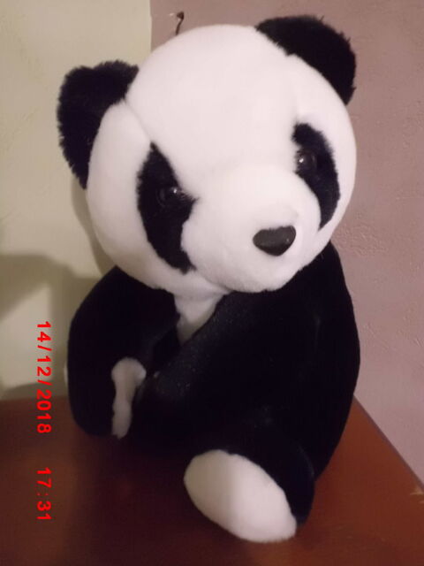 PANDA WWF 19 Oignies (62)