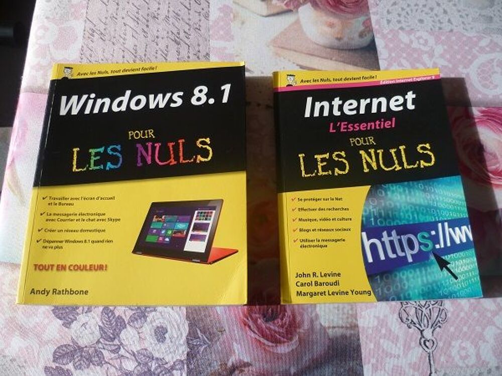 LivreS informatique Les nuls ordi internet Windows Livres et BD