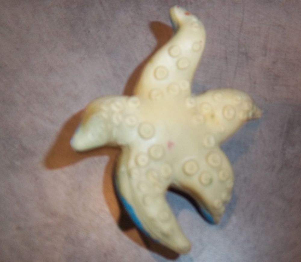 ETOILE DES MERS Starfish 2006 Jeux / jouets
