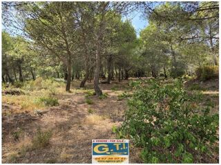  Maison � vendre 7 pi�ces 203 m�