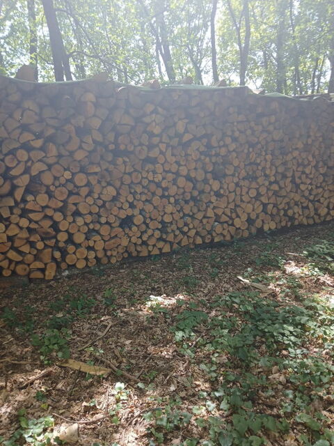 bois de chauffage chataigner sec 
50 Montbron (16)