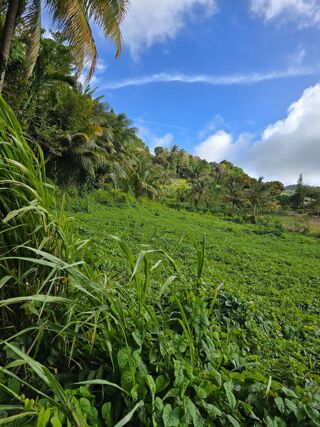  Terrain  vendre 9694 m