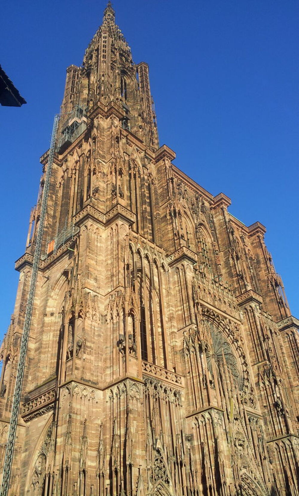   COSY&ART Alsace, Strasbourg (67000)