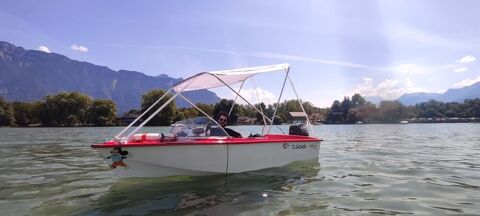 Bateaux &agrave; moteur Bateau fluvial 2008 occasion Annecy 74000
