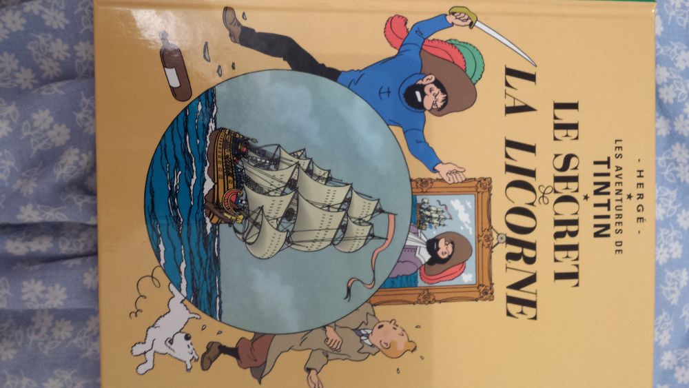 MINI BD TINTIN LE SECRET DE LA LICORNE Livres et BD