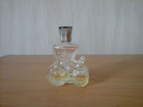 MINIATURES DE PARFUM 5 Trouy (18)
