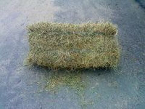   FOIN BALLOTS DE FOIN  