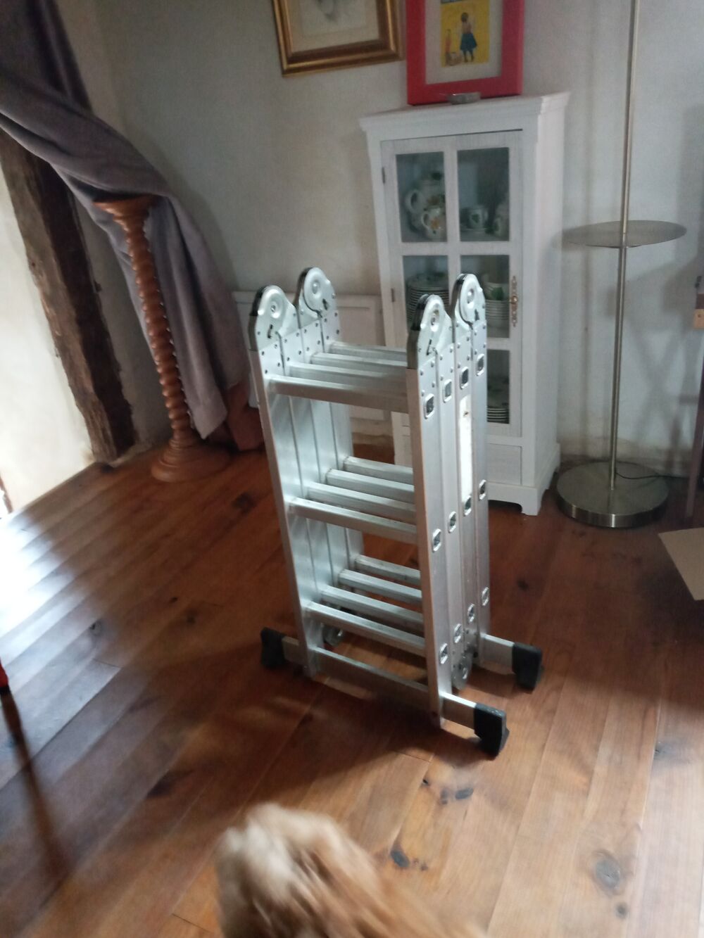 &Eacute;chelle d&eacute;pliante. Tr&egrave;s peu servie. Jardin