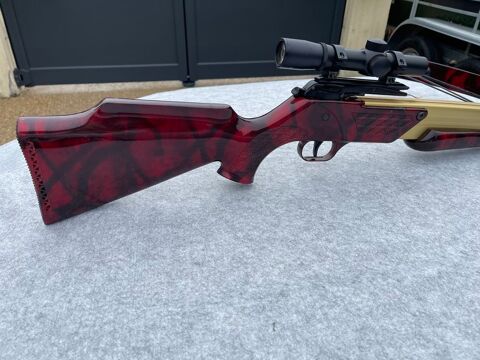 Arbalete Barnett Lightning tr�s rare 650 Franconville (95)