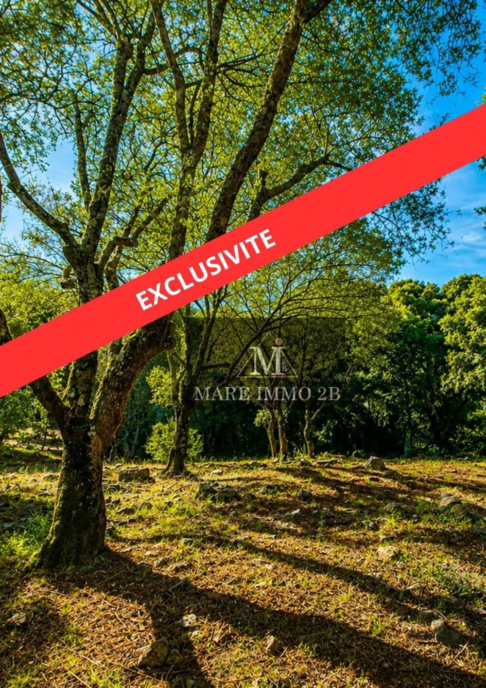 Vente Terrain Terrain constructible de 2468m² Galéria
