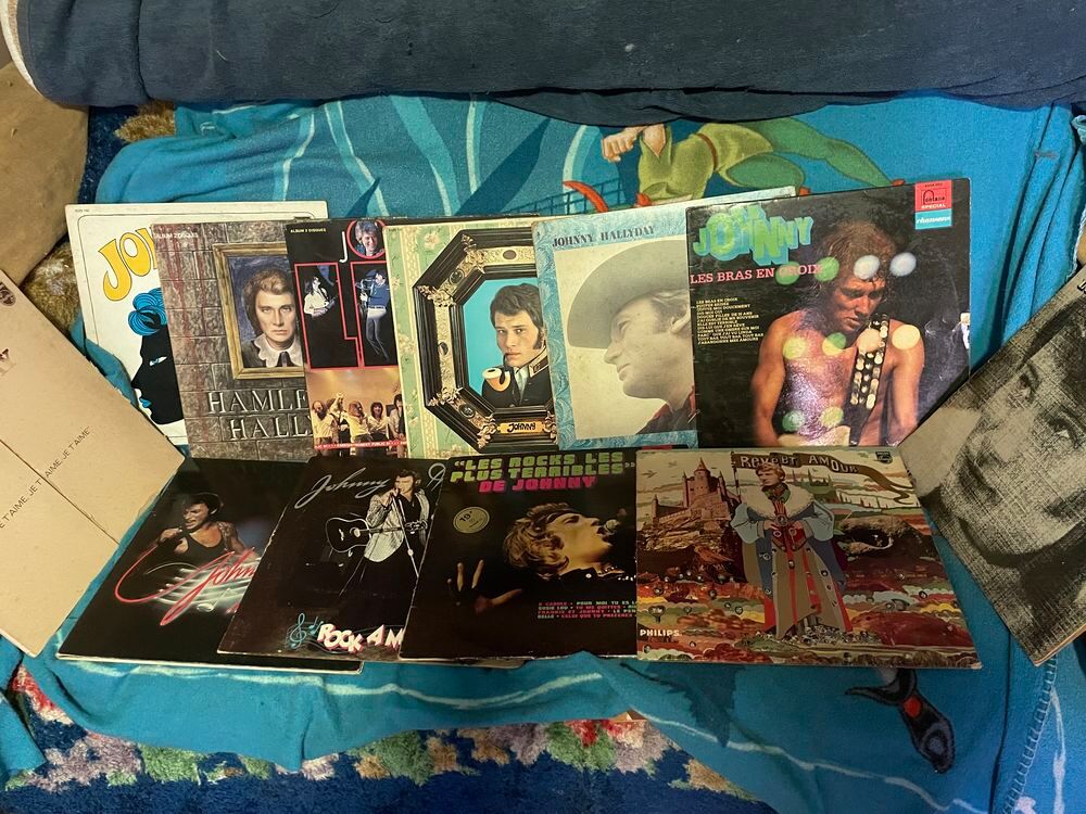 Johnny Hallyday the king fran&ccedil;ais ! CD et vinyles