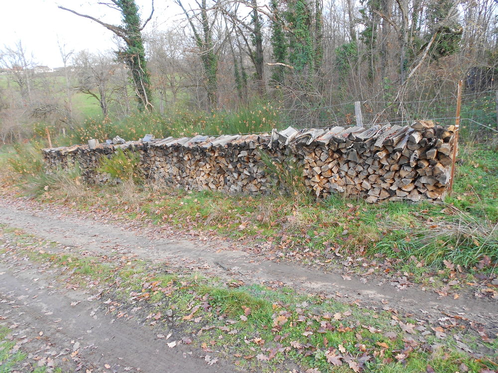 bois de chauffage Jardin