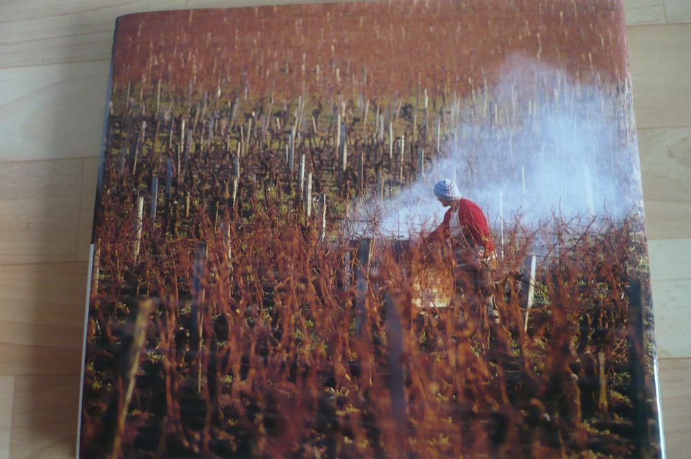 SAINT-&Eacute;MILION, AU-DEL&Agrave; D'UNE APPELLATION de Alain DENIS 2001 Livres et BD