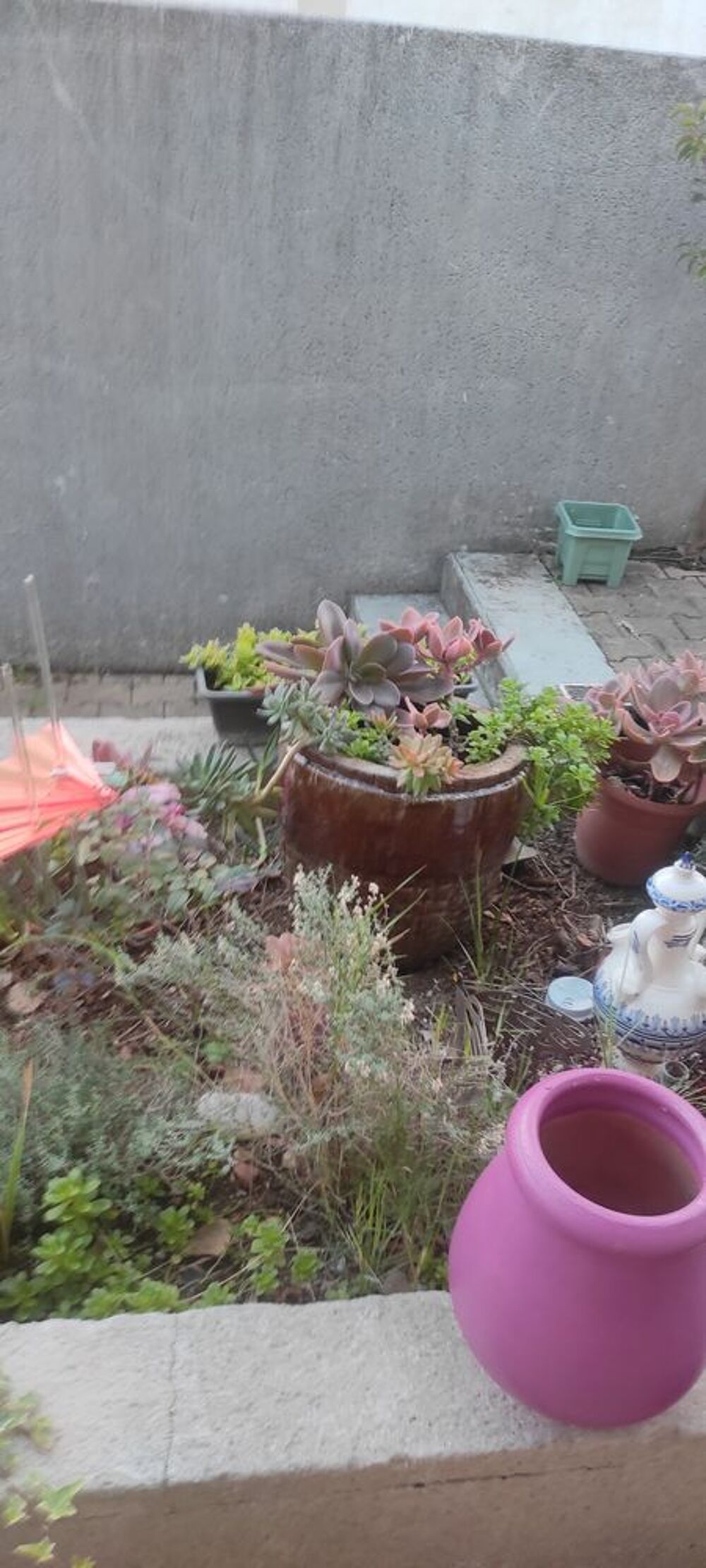 plantes int&eacute;rieures et ext&eacute;rieures + aquarium Jardin