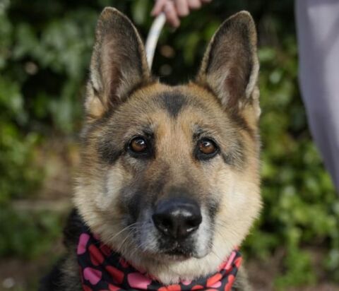 DUNA 320 27620 Gasny