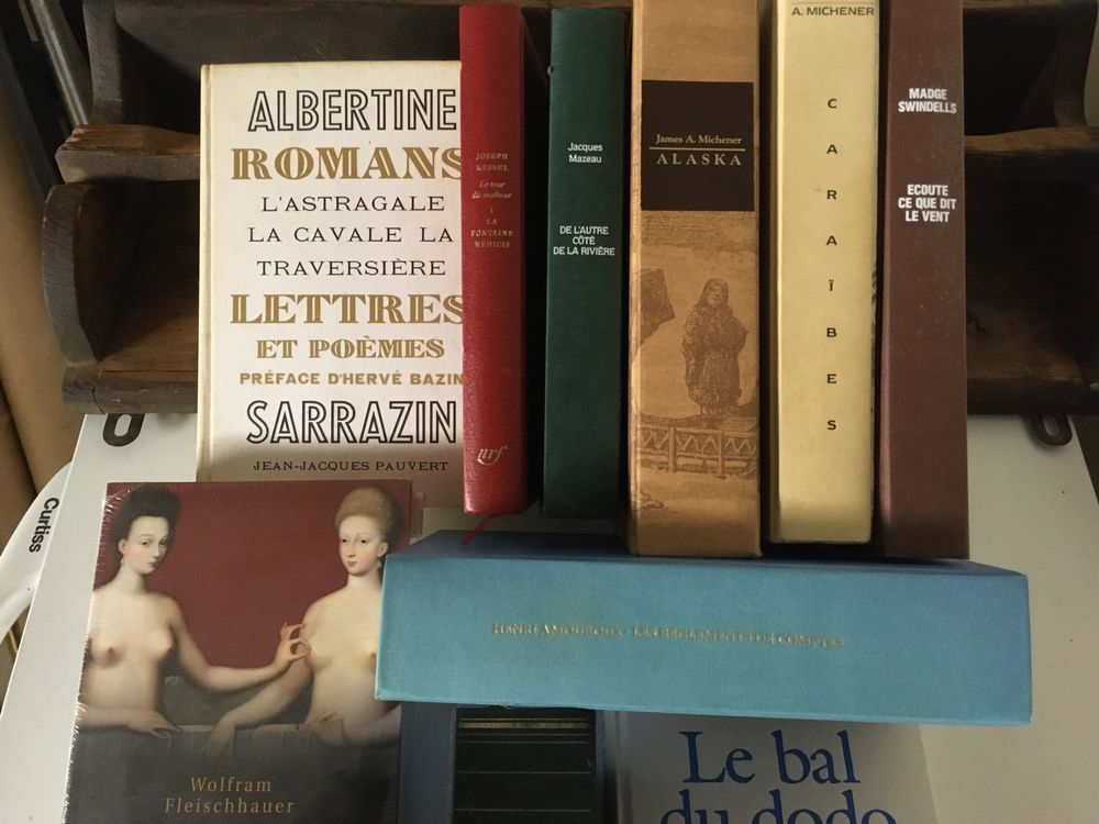 romans-policiers-histoire contemporaine Livres et BD