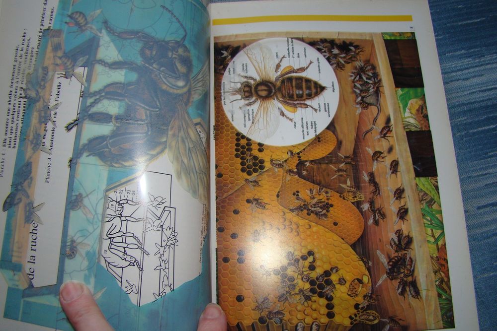 Encyclop&eacute;die BORDAS 10 vol. + Dictio. Langue Fran&ccedil;aise 1980 Livres et BD