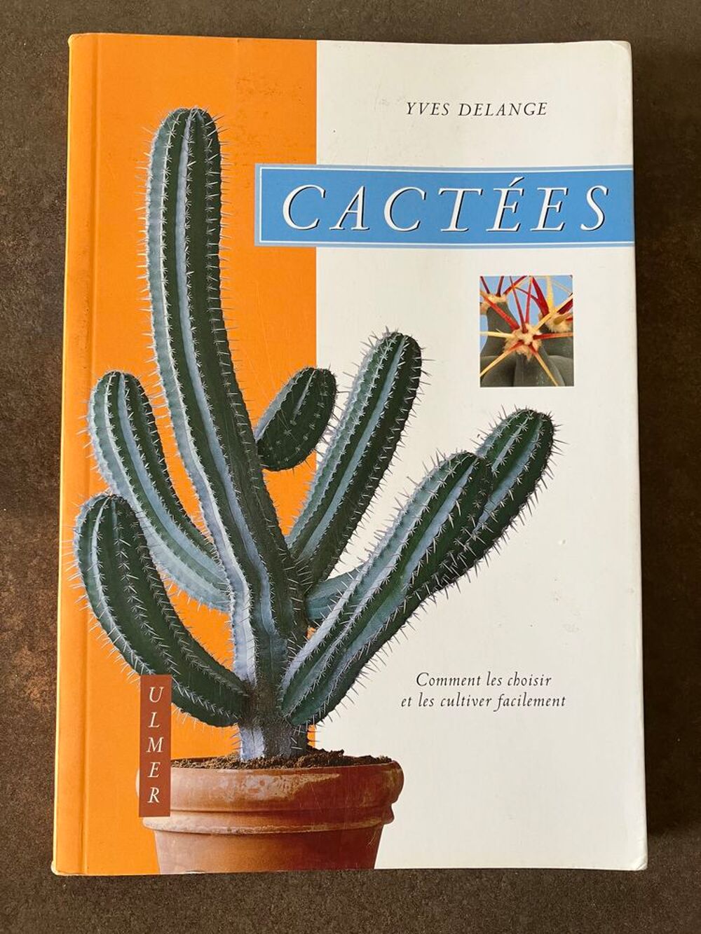 Livre sur les cactus Livres et BD