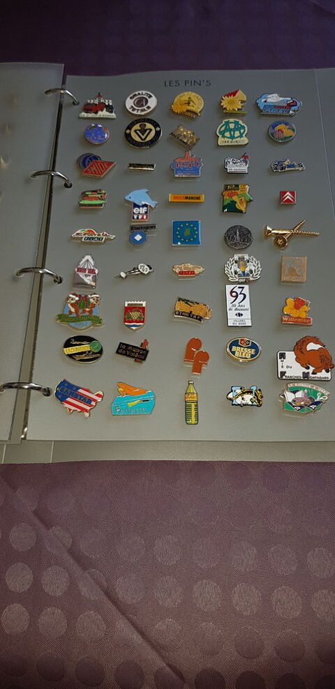 Collector pin's 100 Fontainebleau (77)