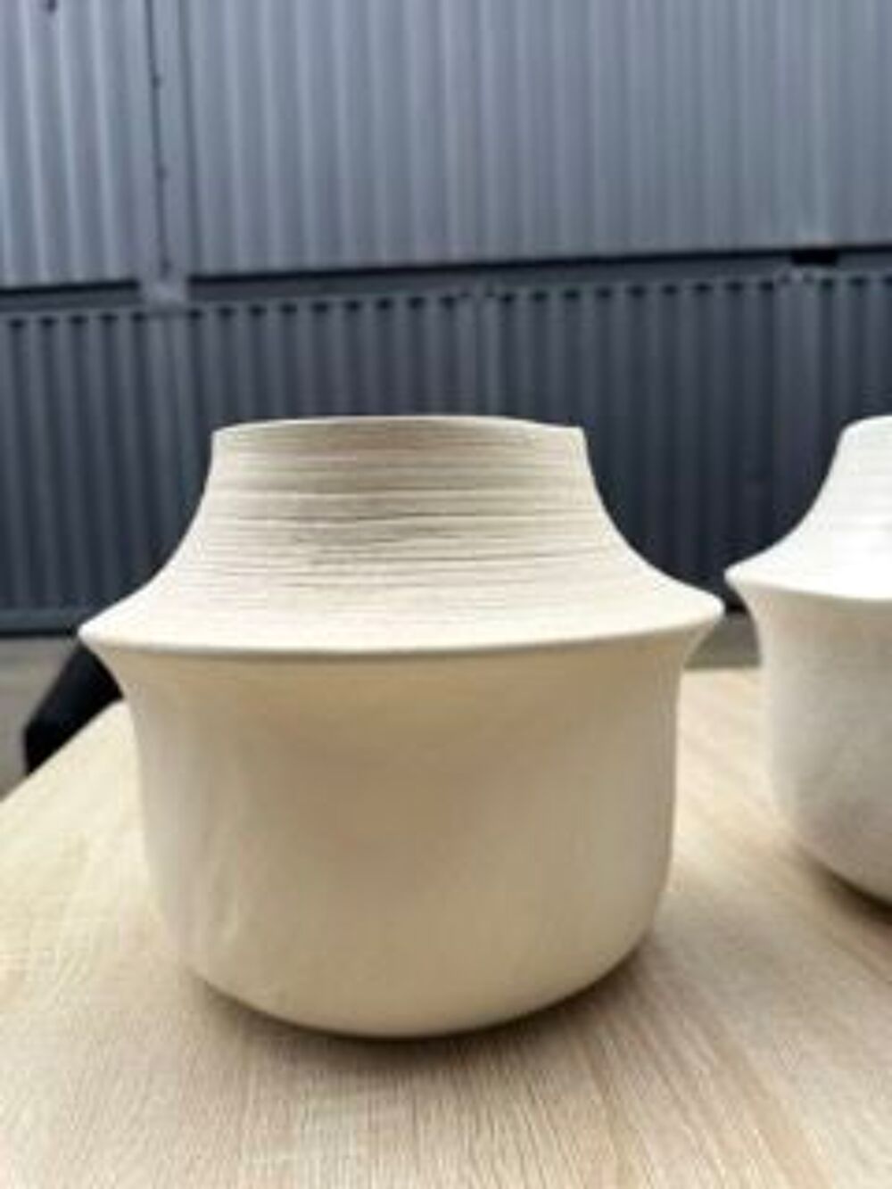 lot de 2 gros vases Décoration