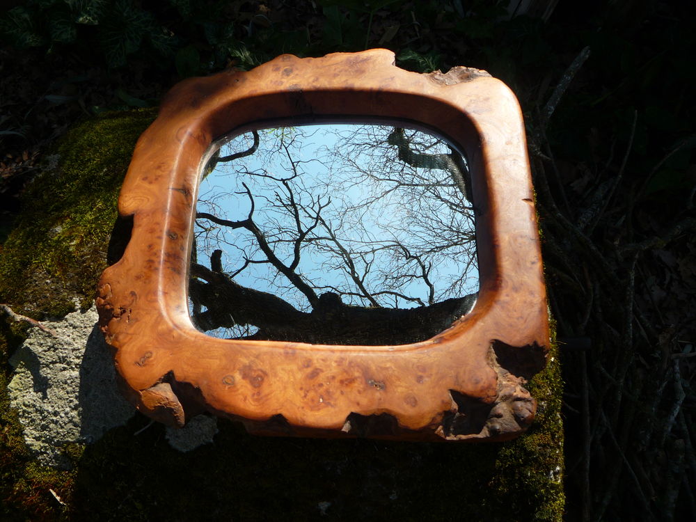 
Miroir / glace / racine olivier
Décoration