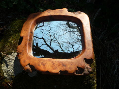 
Miroir / glace / racine olivier
65 Castres (81)