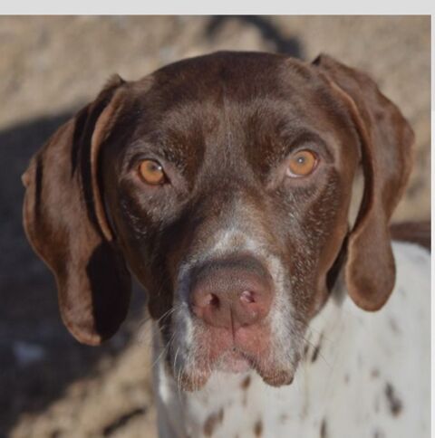 CACHOPO 300 27620 Gasny