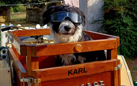 Pi&egrave;ces et &eacute;quipements Moto - Scooter - Quad Pi&egrave;ces et &eacute;quipements Moto - Scooter - Quad  occasion Redessan 30129