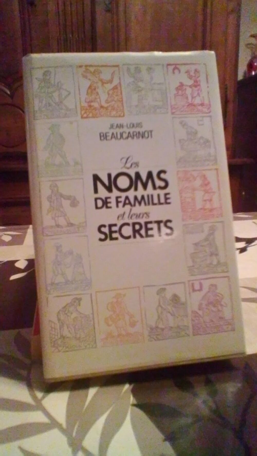 Livre : les noms de famille et leurs secrets Livres et BD
