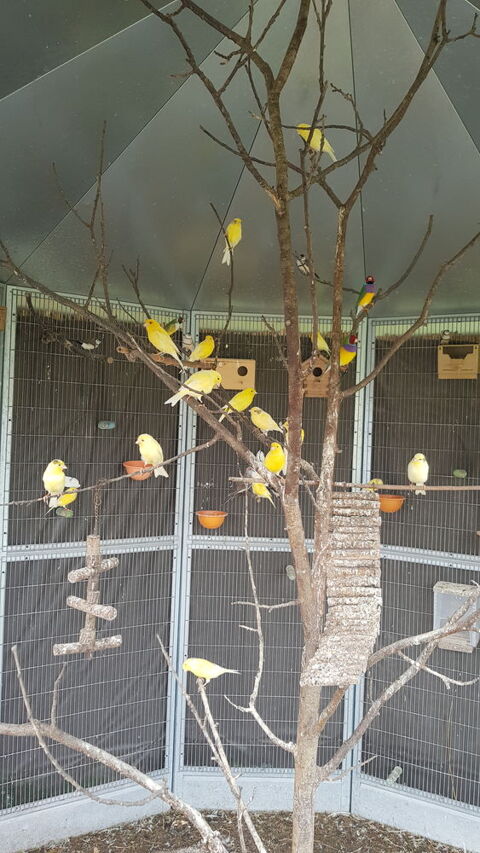 Canaris 15 86000 Poitiers
