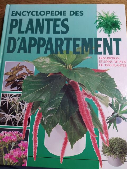 L'encyclopédie des plantes d'appartement 12 Bretignolles-sur-Mer (85)
