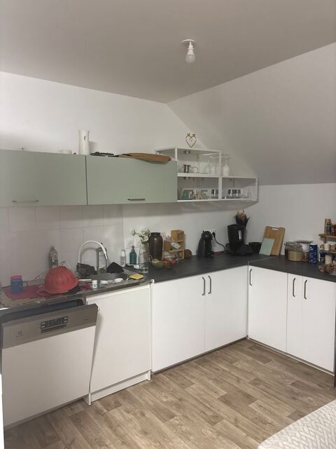 Cuisine blanc mat et vert clair 1500 Ozoir-la-Ferrière (77)