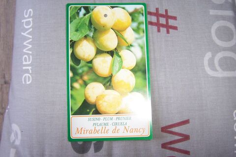 1 arbre fruitier Prunier mirabelle Sauvagnon (64)