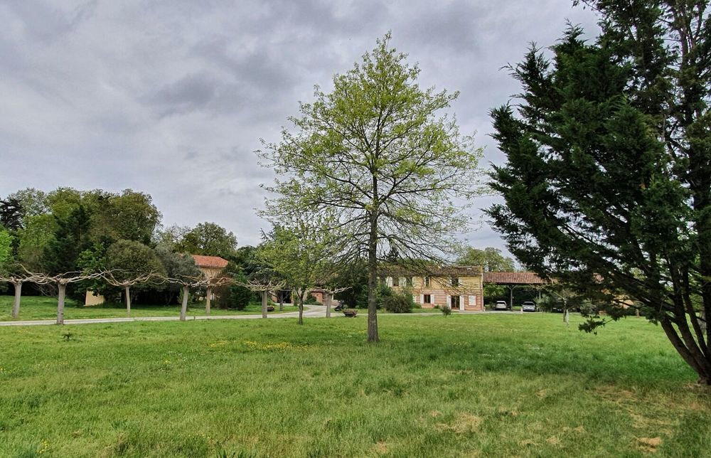 � vendre  Propri�t�/ch�teau Peyssies (31390)