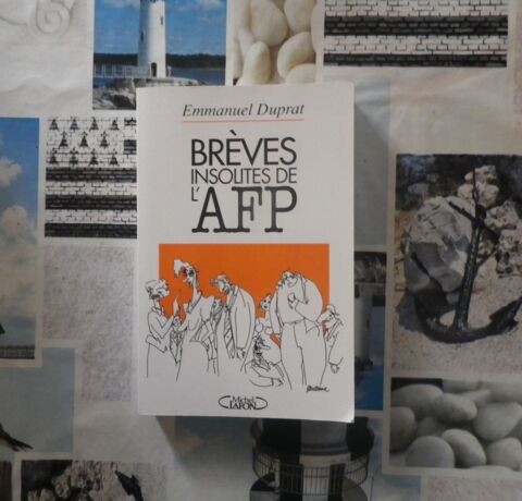 BREVES INSOLITES DE L'AFP par Emmanuel DUPRAT Ed M Lafon 3 Bubry (56)