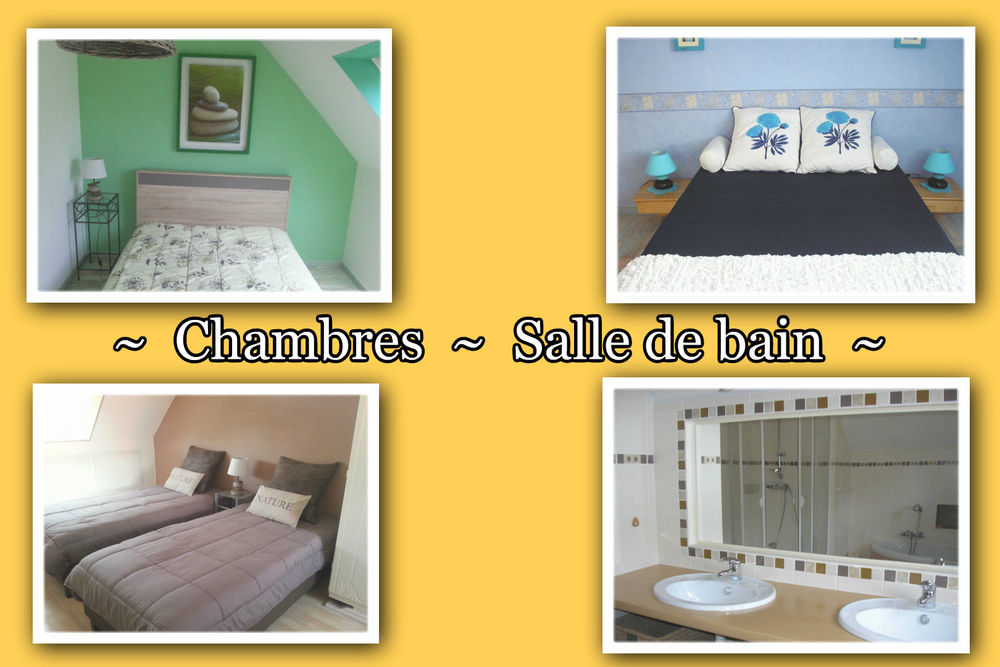    Bretagne bord de MER ~ LANGOUSTINES...FIN SEPTEMBRE Vacances  / Offres de location 