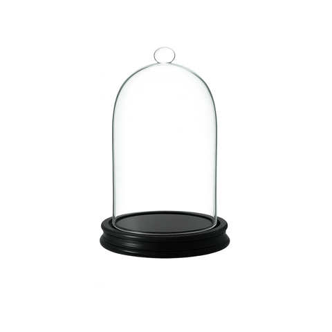 Cloches de verre Paris 1 (75)