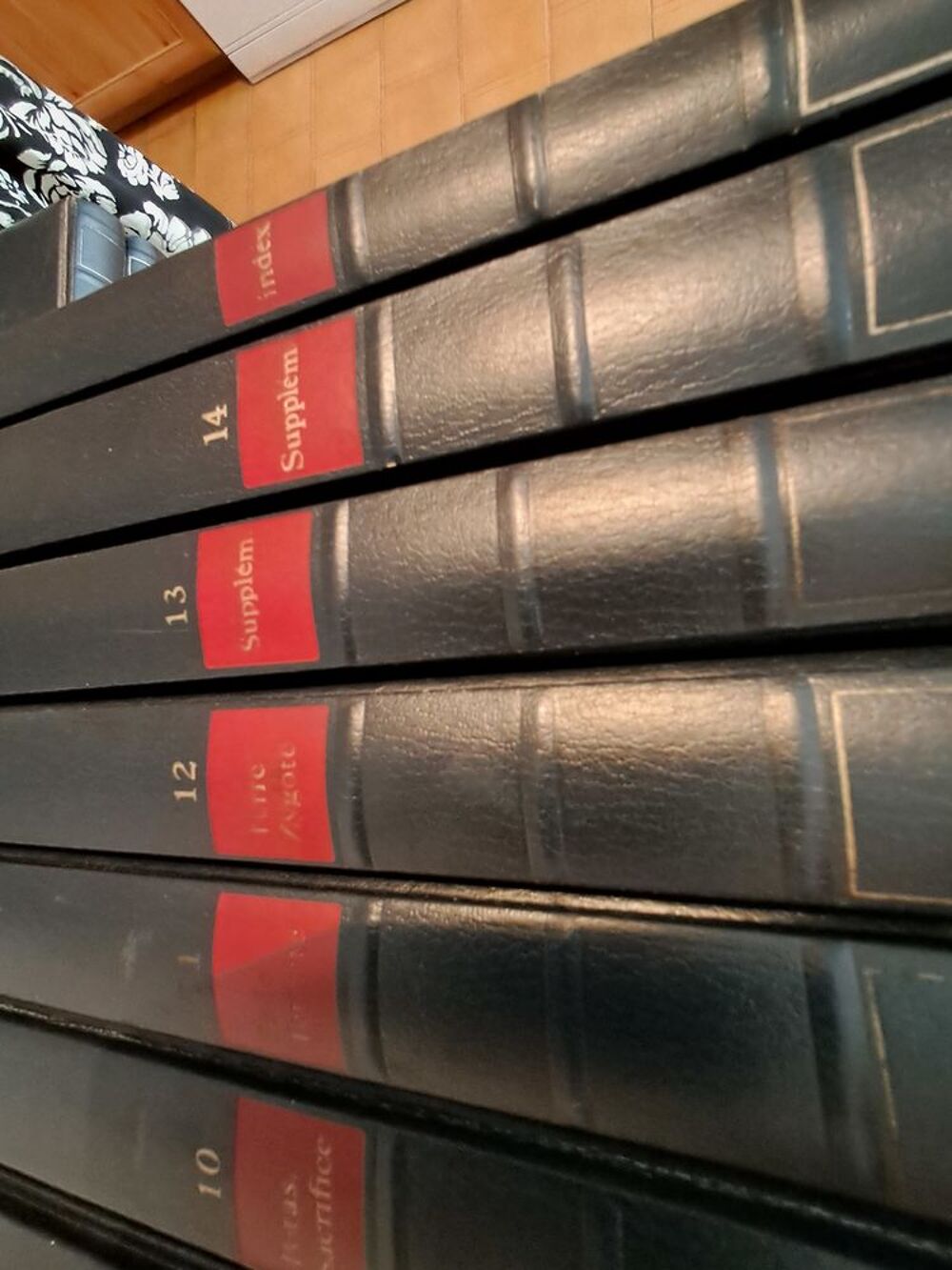 lot enctclopedie hachette Livres et BD