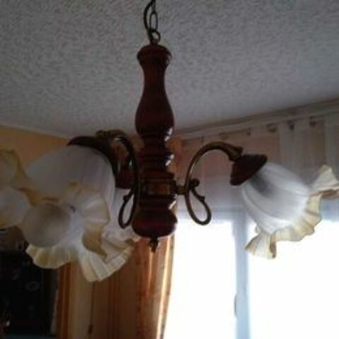 1 lustre plafonnier 40 Meaux (77)