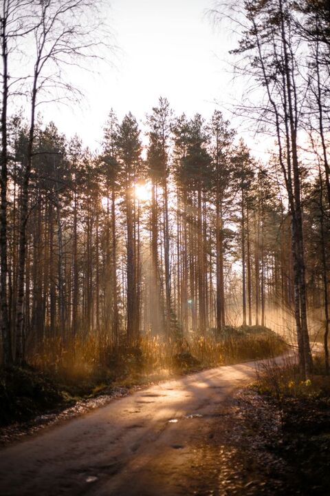 Cours de chinois pour d&eacute;butants 0 76600 Le havre