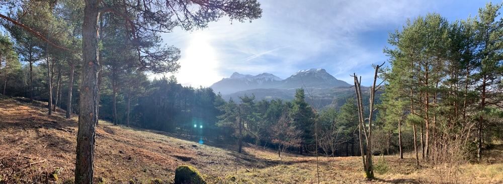 Vente Terrain Terrain constructible 2030 m² ? vue montagnes ? Le Champlong La salle-en-beaumont