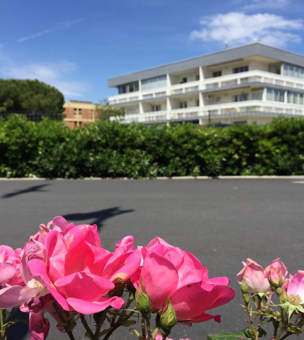   F2 de standing face au thermes avec parking / WIFI /CLIM- Languedoc-Roussillon, Balaruc-les-Bains (34540)