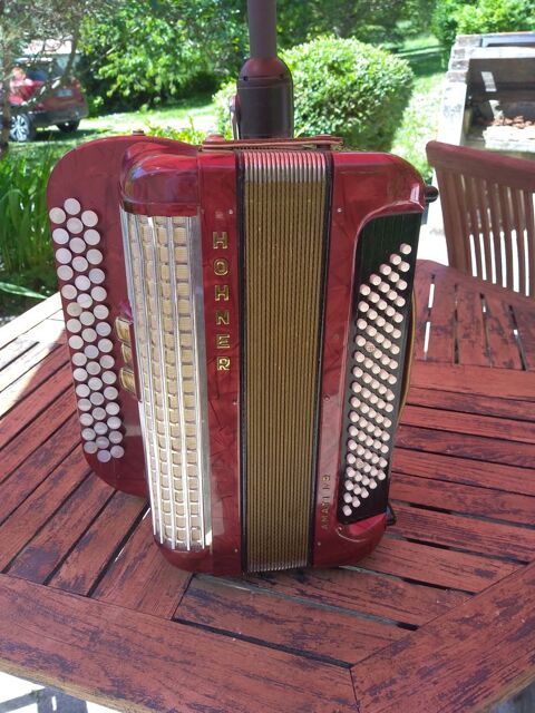 accordéon chromatique 500 Palluau-sur-Indre (36)