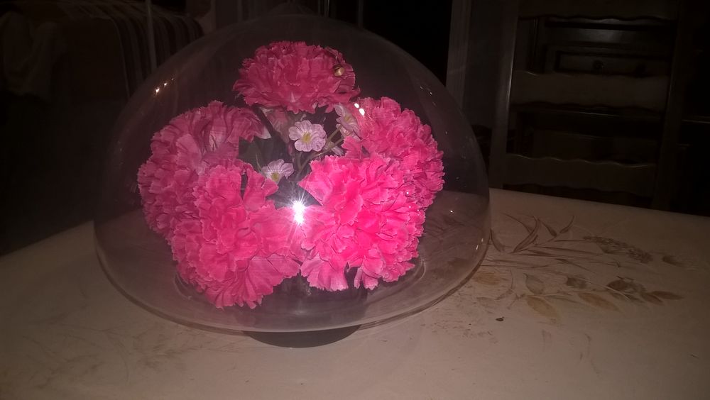 Fleurs s&eacute;ch&eacute;es sous verre bomb&eacute; 1970. Décoration