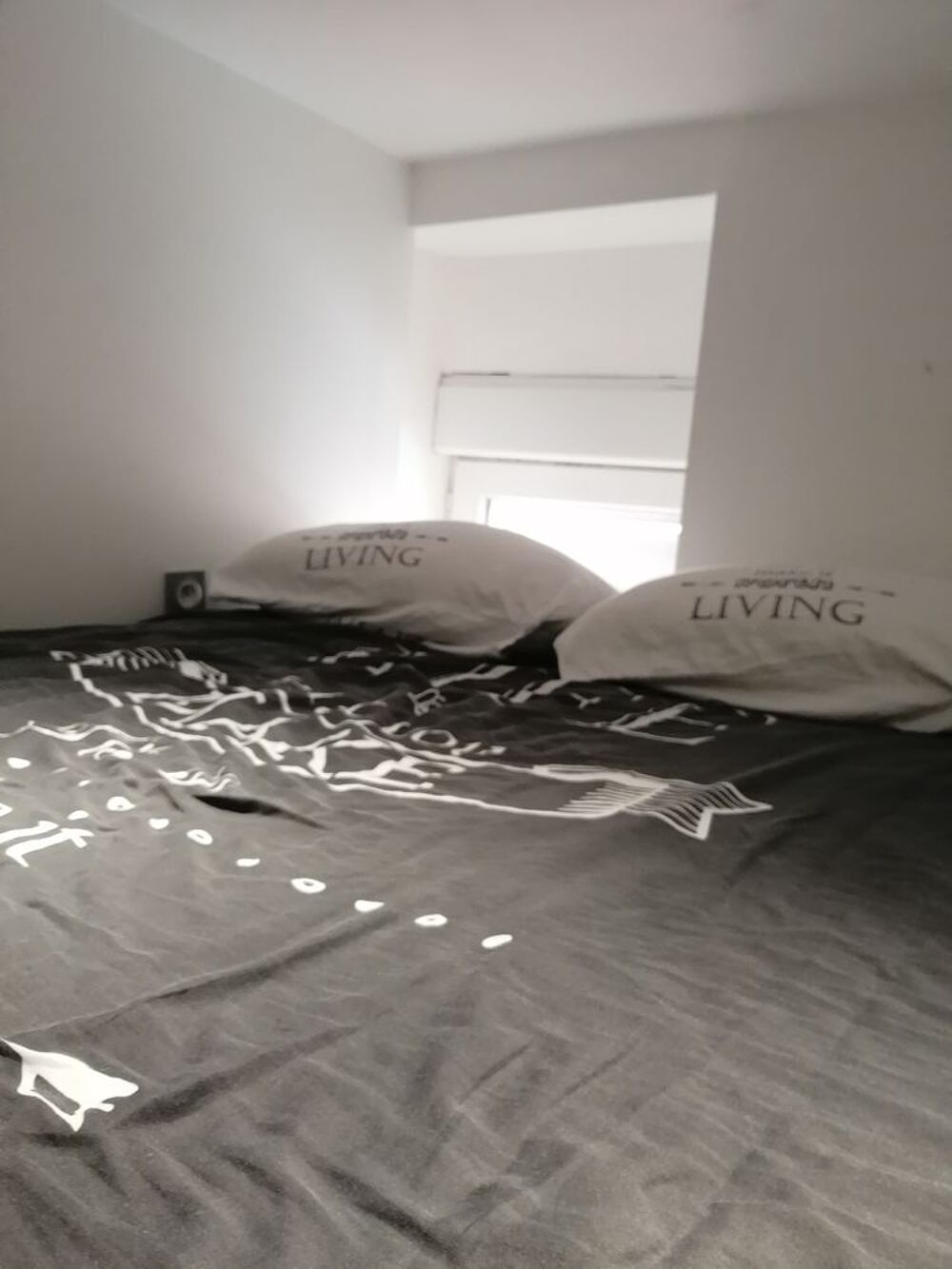 Location Appartement STUDIO Mezzanine centre Tarbes Tarbes