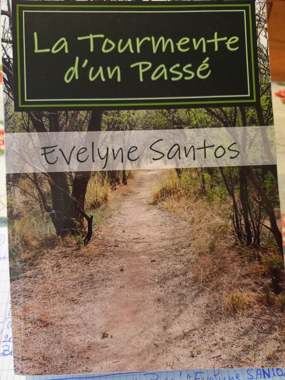 Livre &quot;La Tourmente d'un Pass&eacute;&quot; de Evelyne Santos Livres et BD