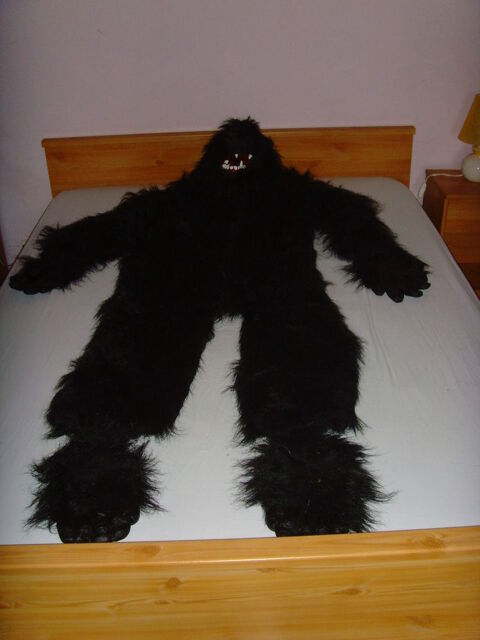 Costume de Gorille. 50 Tournon-sur-Rhne (07)