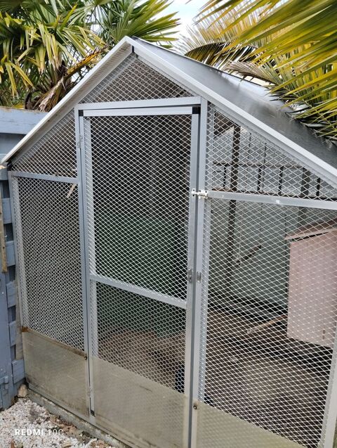 2 couples d omnicolore et un couple de turquoisine 1200 85150 Saint-mathurin